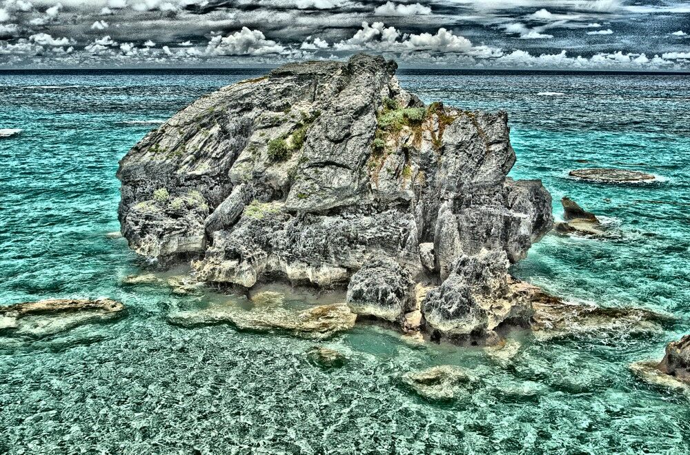 Click to See Next Image